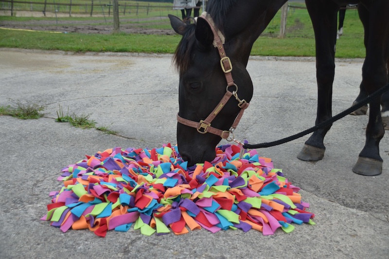 Snuffelkussen XL voor paarden