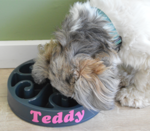 anti schrokbak hond gepersonaliseerd met Teddy